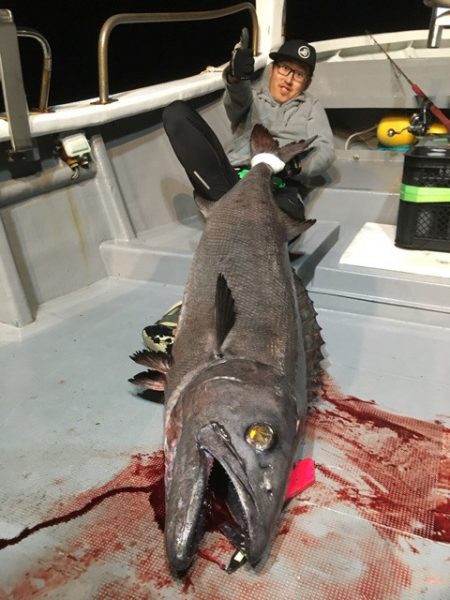 ＴＡＲＯＭＡＲＵ 釣果