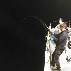 ＴＡＲＯＭＡＲＵ 釣果