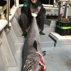 ＴＡＲＯＭＡＲＵ 釣果