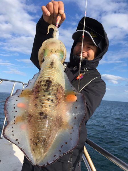 エヌスタイル 釣果