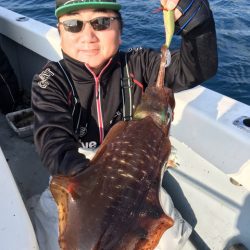 エヌスタイル 釣果