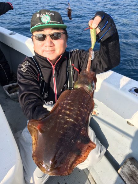 エヌスタイル 釣果