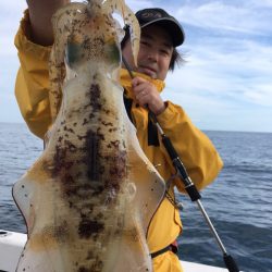 エヌスタイル 釣果