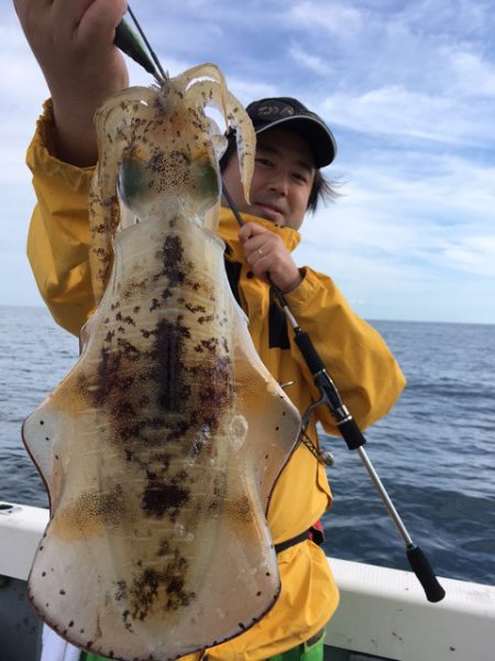 エヌスタイル 釣果