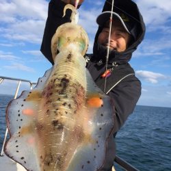 エヌスタイル 釣果