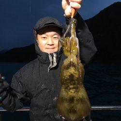 まるいち丸 ZERO-1 釣果