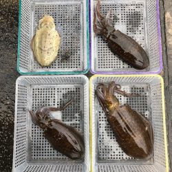 まるいち丸 ZERO-1 釣果