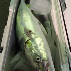 第二八坂丸 釣果