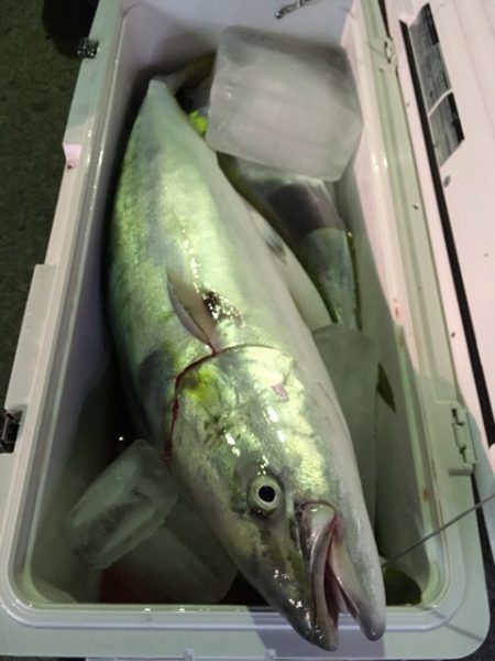 第二八坂丸 釣果