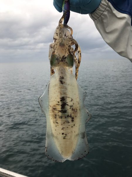 まるいち丸 ZERO-1 釣果