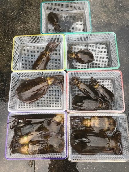 まるいち丸 ZERO-1 釣果