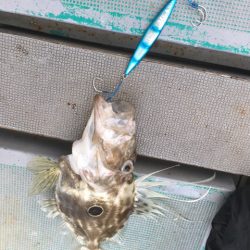 ＴＡＲＯＭＡＲＵ 釣果