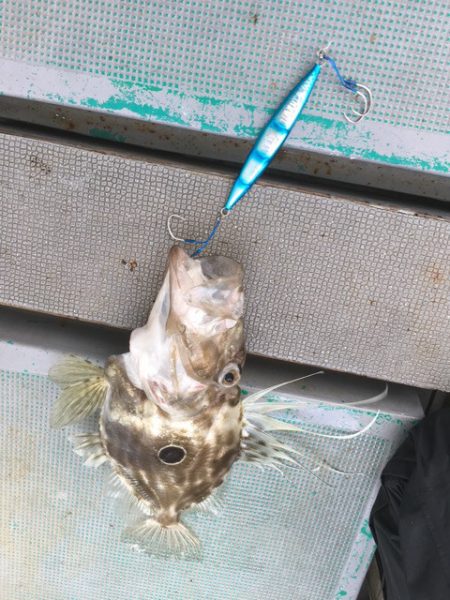 ＴＡＲＯＭＡＲＵ 釣果