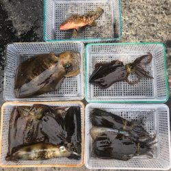 まるいち丸 ZERO-1 釣果