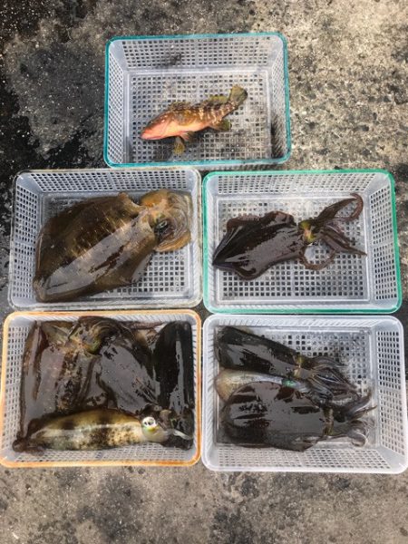 まるいち丸 ZERO-1 釣果