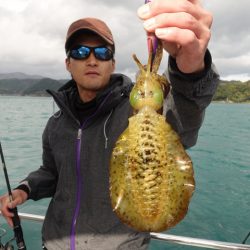 まるいち丸 ZERO-1 釣果