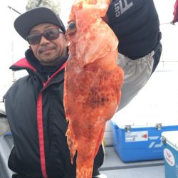 渡船屋たにぐち 釣果