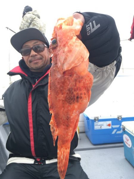 渡船屋たにぐち 釣果