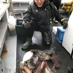 シーランチ 釣果