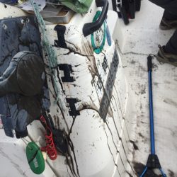 「LaGooN」蒼陽丸 日和号 釣果