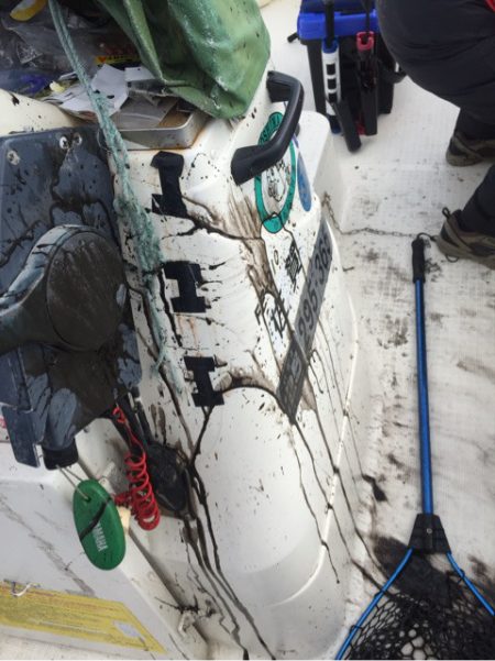 「LaGooN」蒼陽丸 日和号 釣果