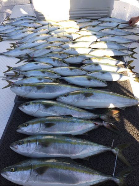 ビッグファイター 釣果