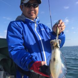 「LaGooN」蒼陽丸 日和号 釣果