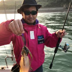 遊漁船メテオ 釣果