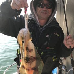 遊漁船メテオ 釣果