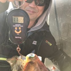 遊漁船メテオ 釣果