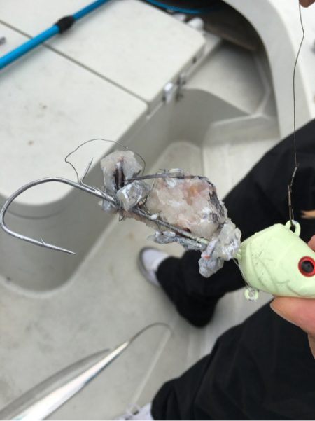 末広丸(熊本) 釣果