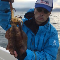 「LaGooN」蒼陽丸 日和号 釣果