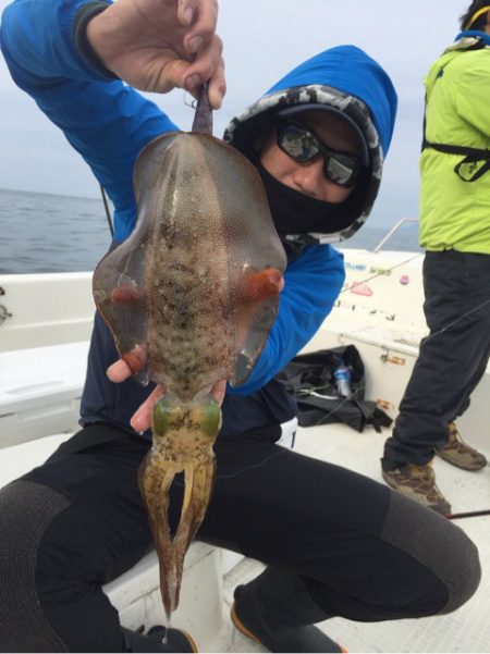 「LaGooN」蒼陽丸 日和号 釣果