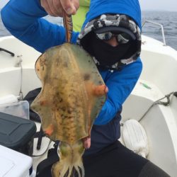「LaGooN」蒼陽丸 日和号 釣果
