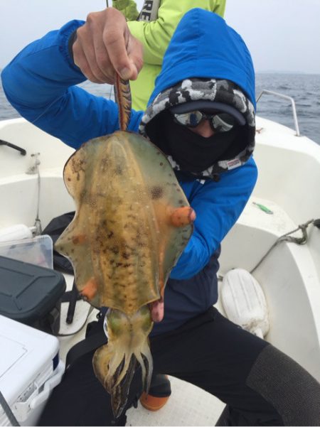 「LaGooN」蒼陽丸 日和号 釣果