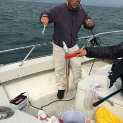 末広丸(熊本) 釣果