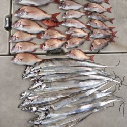 末広丸(熊本) 釣果