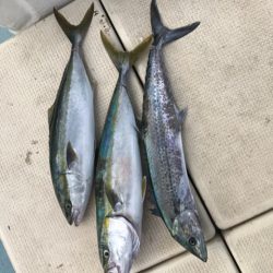 Monster Rush! 釣果