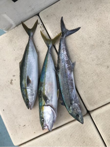 Monster Rush! 釣果