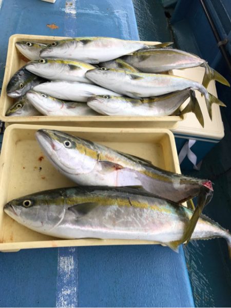 ヤザワ渡船 釣果
