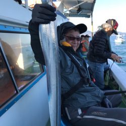 ヤザワ渡船 釣果