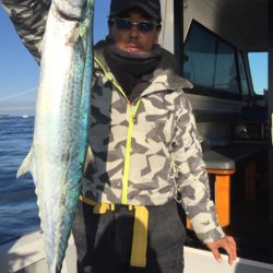 ビッグファイター 釣果