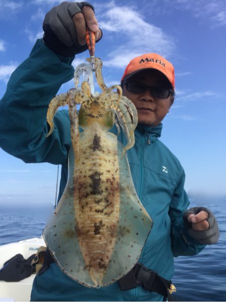 「LaGooN」蒼陽丸 日和号　 釣果