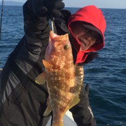 「LaGooN」蒼陽丸 日和号　 釣果