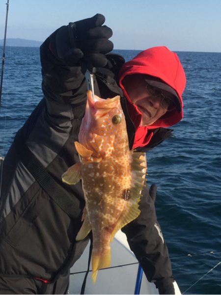 「LaGooN」蒼陽丸 日和号　 釣果