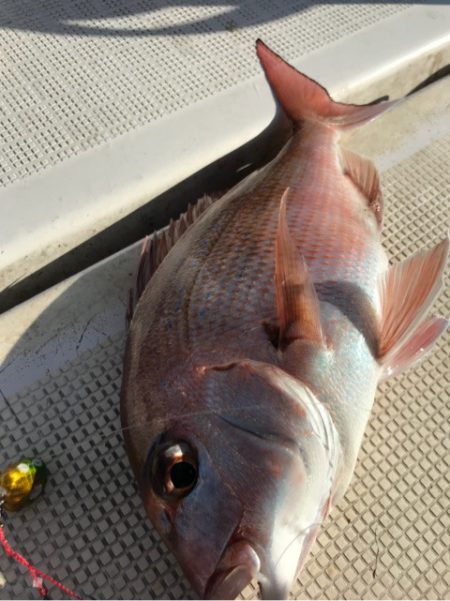 龍神丸（鹿児島） 釣果