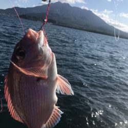 龍神丸（鹿児島） 釣果