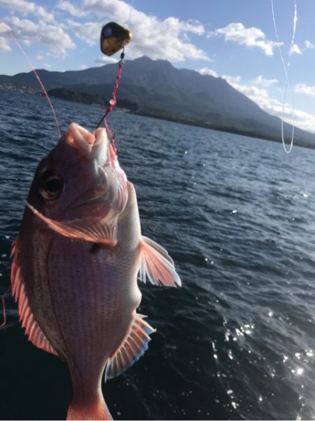 龍神丸（鹿児島） 釣果