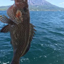 龍神丸（鹿児島） 釣果