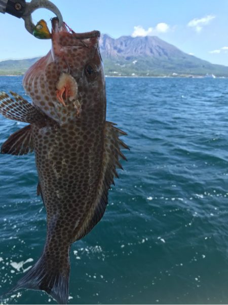 龍神丸（鹿児島） 釣果